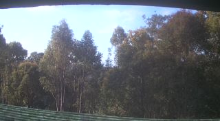 View from rooftop at Home